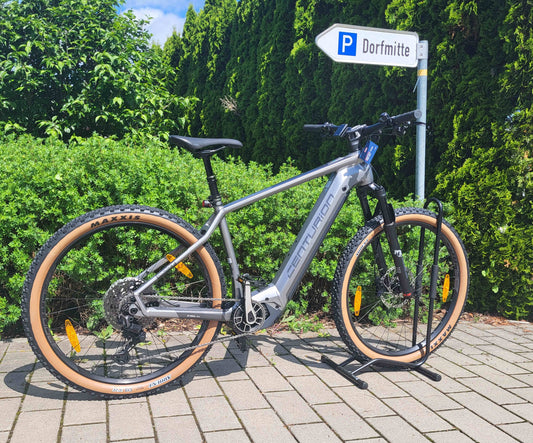 Centurion Backfire R2700i grau/anthrazit 2023 29" 750 (Gr. S 625) Wh Diamant