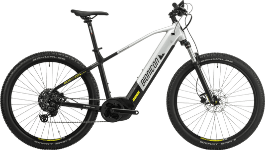 Bionicon JAMES 2 silver black 2024 27,5" 750 Wh Diamant