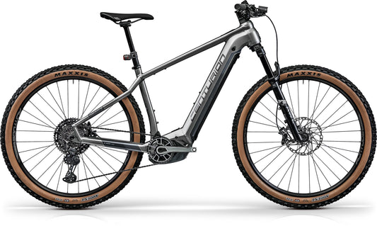 Centurion Backfire R2700i grau/anthrazit 2023 29" 750 (Gr. S 625) Wh Diamant