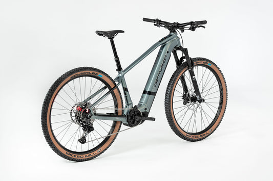 Centurion Backfire R2000 schiefer matt 2024 29" 800 Wh Diamant