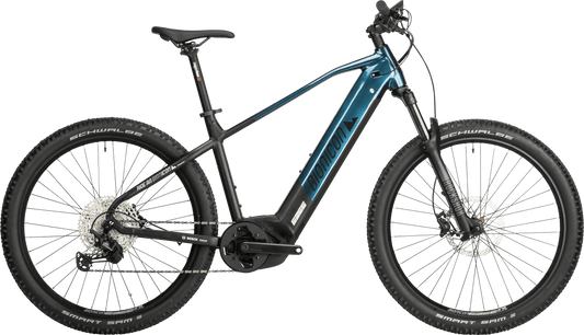 Bionicon	James 1 space blue black 2024 29" 750 Wh Diamant