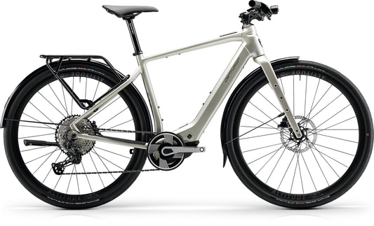 Centurion Speeddrive R2000 D EQ vintage silber glänzend 2024 28" 400Wh Diamant