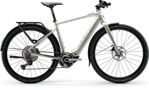 Centurion Speeddrive R2000 D EQ vintage silber glänzend 2024 28" 400Wh Diamant