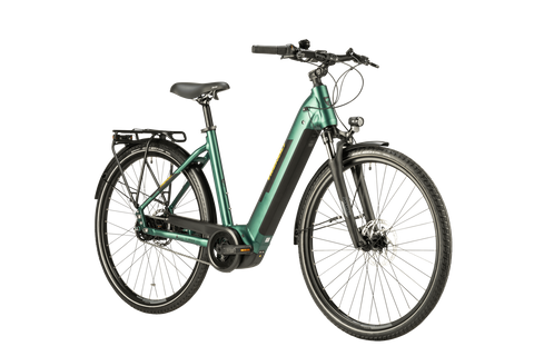 Trenoli Livenza Classico NX 625 dark green matt 2024 28" 625 Wh Wave