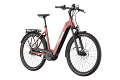 Trenoli Tanaro CX Classico Enviolo silver cosmos pink matt 2024 28
