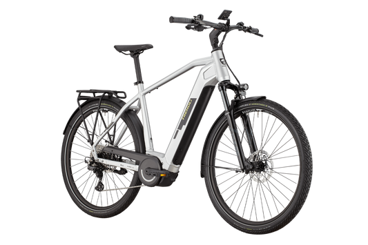Trenoli TANARO CX SPORTIVO M silver metallic glänzed 2024 28" 750 Wh Diamant